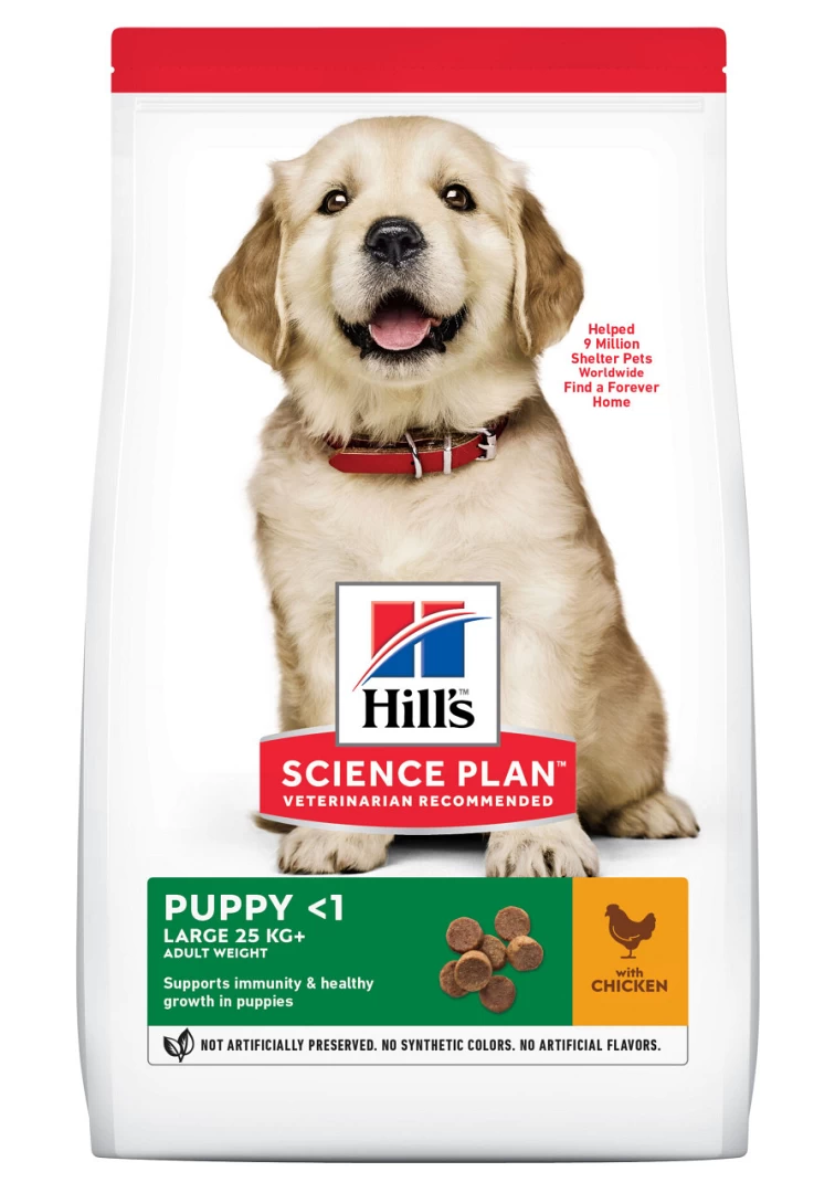 Hill's Science Plan Puppy Large Breed Kip 12 Kg