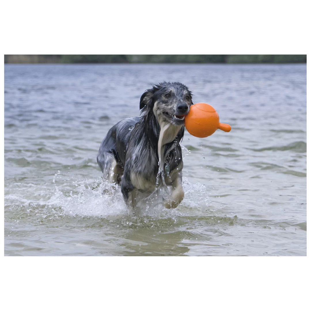 Beeztees Apportino Bal - Image 2