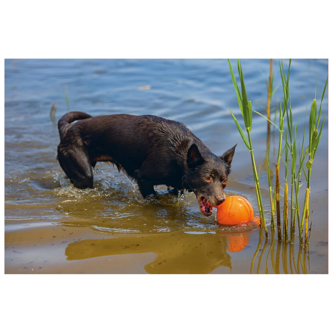 Beeztees Apportino Bal - Image 4