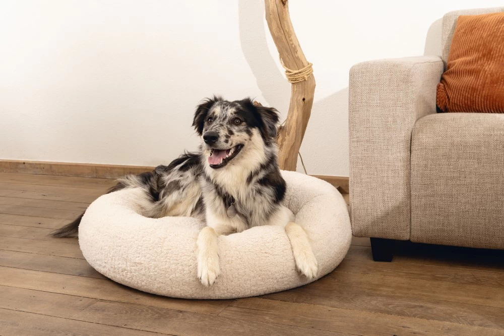 Beeztees Orthopedische Hondenmand Jaxx Beige - Image 4