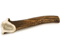 Beeztees Hertengewei Large