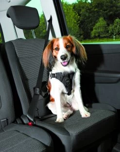 TRIXIE Autotuig Dog Comfort