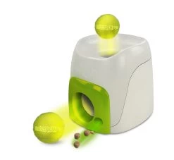 All For Paws Interactive Fetch'N Treat