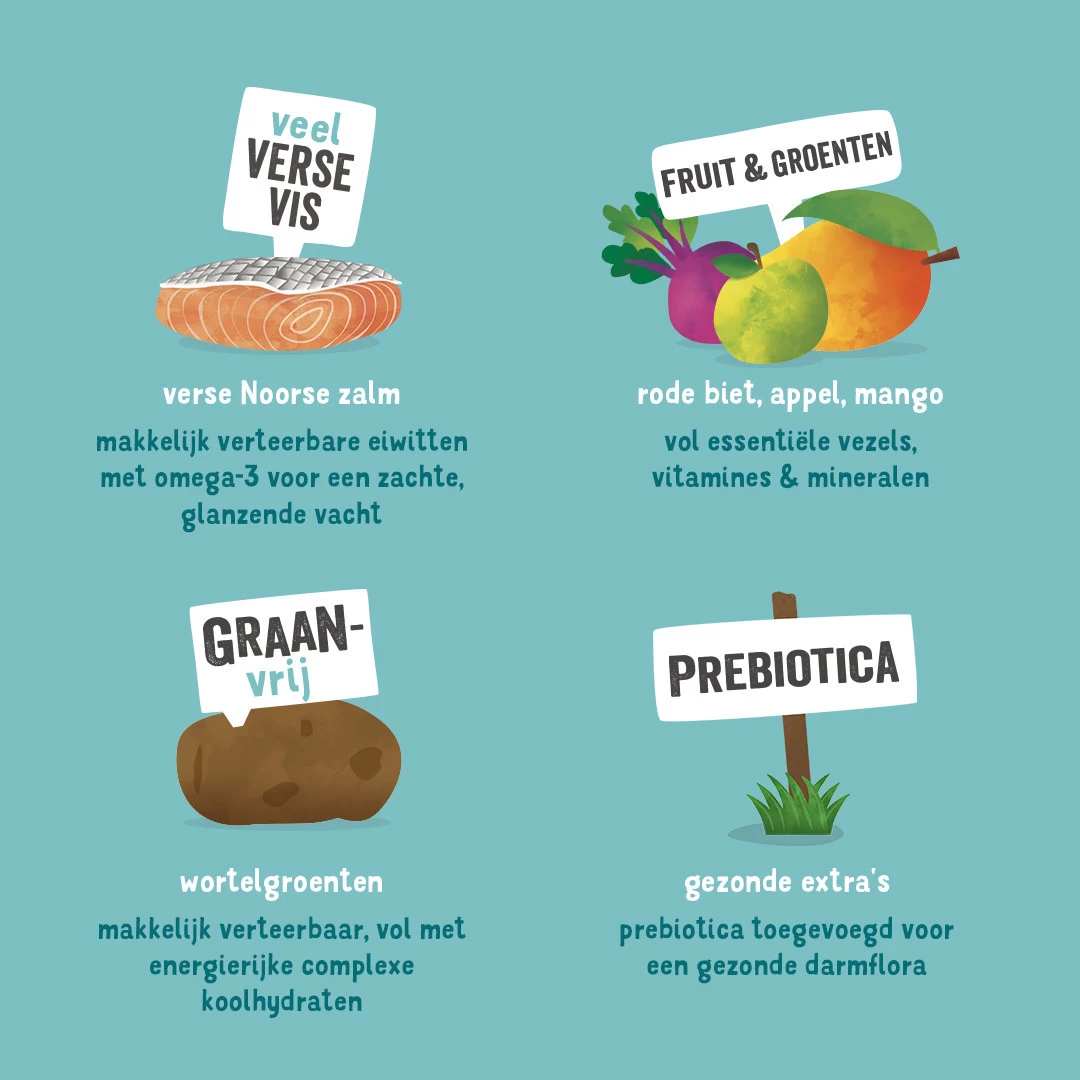 Edgard & Cooper Hondenvoer Adult Noorse Zalm 2,5 Kg - Image 3