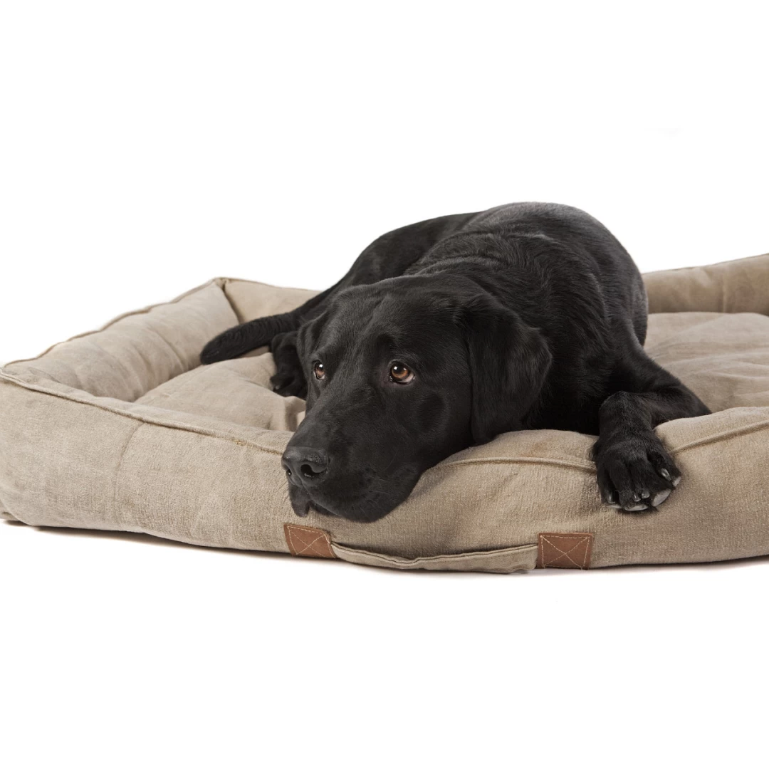 Lex & Max Hondenmand Handmade Sand - Image 5