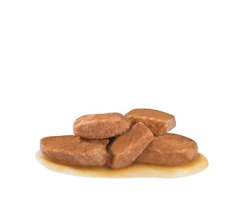 Royal Canin Hondenvoer Renal 12 X 100 Gr - Image 2