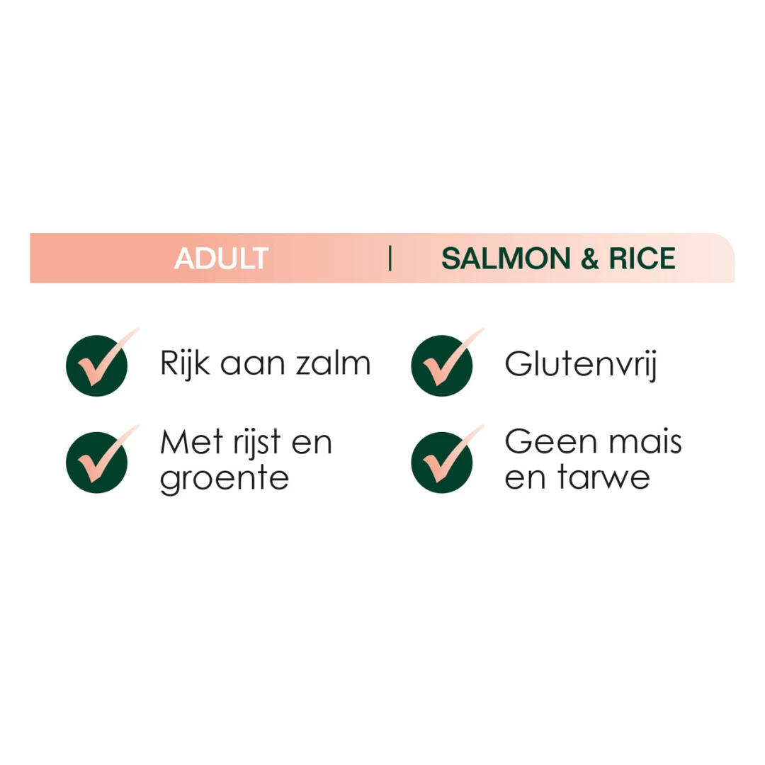Premium Care Original Adult Salmon & Rice 3 Kg - Image 2