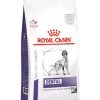 Royal Canin Hondenvoer Dental 6 Kg