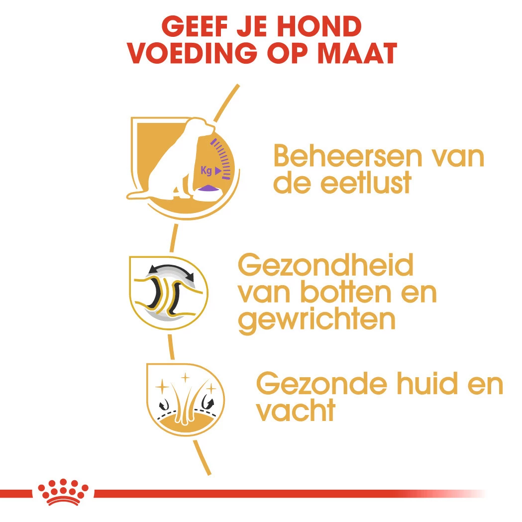 Royal Canin Hondenvoer Labrador Sterilised Adult 12 Kg - Afbeelding 3