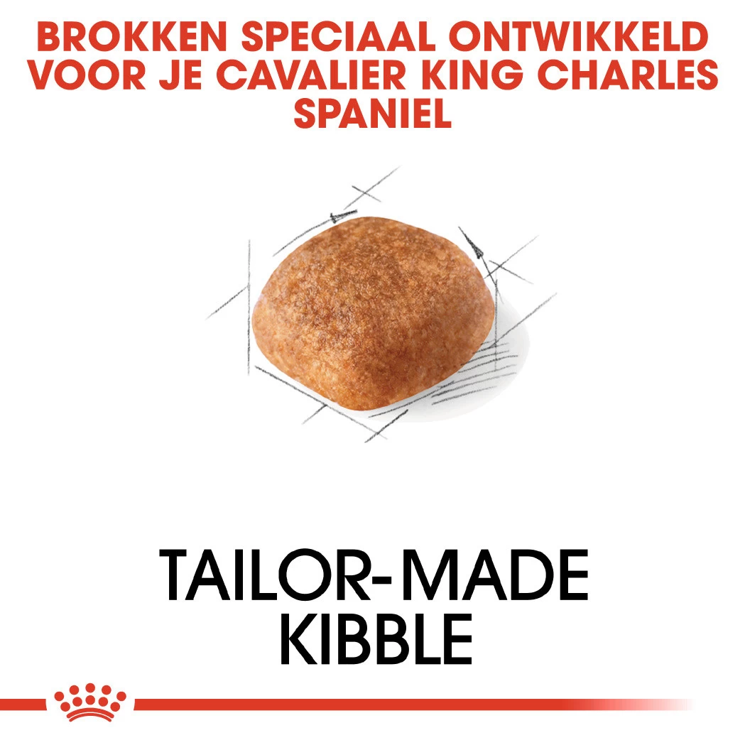 Royal Canin Hondenvoer Cavalier King Charles Adult 1,5 Kg - Image 2