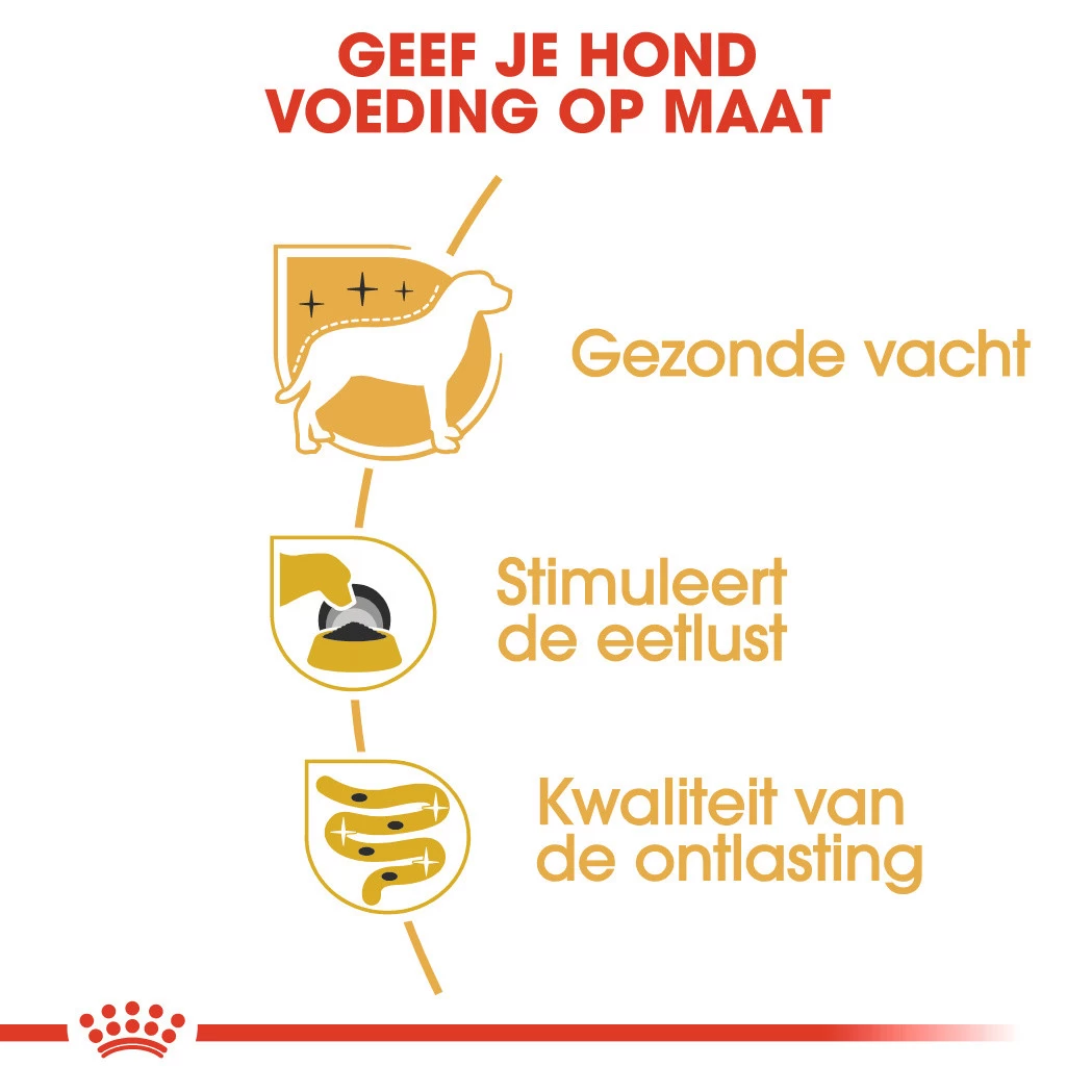 Royal Canin Hondenvoer Yorkshire Terrier Adult 12 X 85 Gr - Image 4