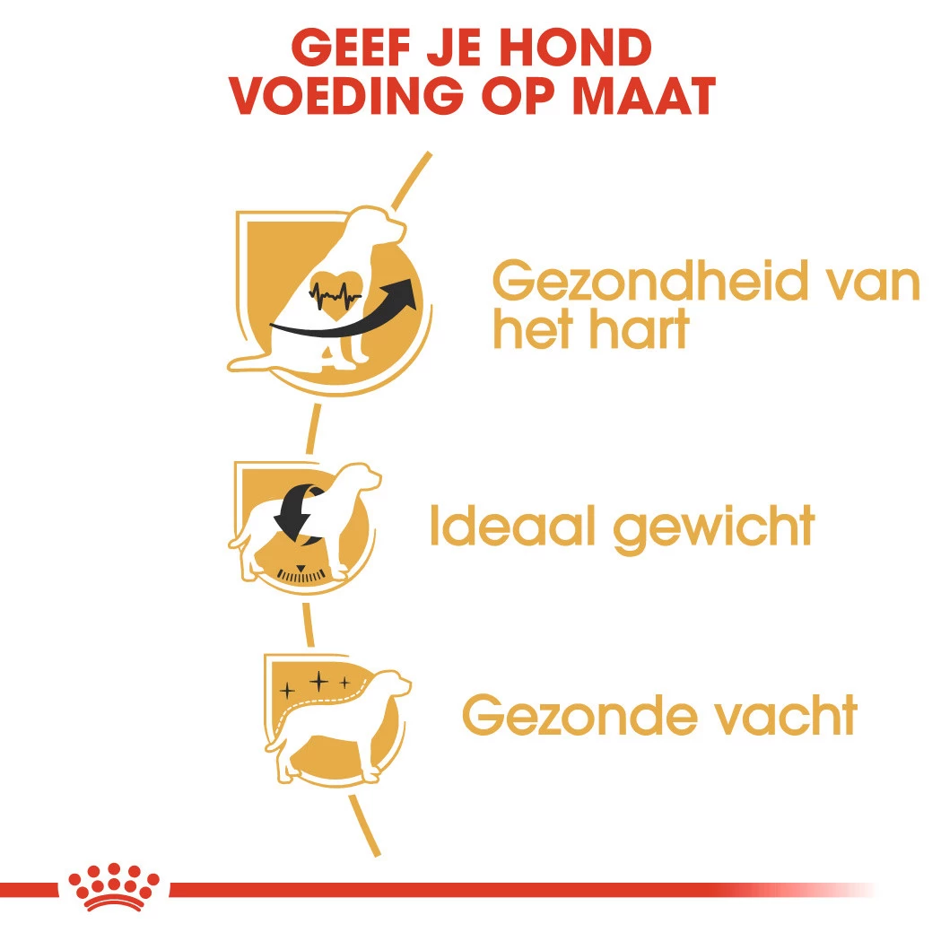 Royal Canin Hondenvoer Cavalier King Charles Adult 1,5 Kg - Image 3