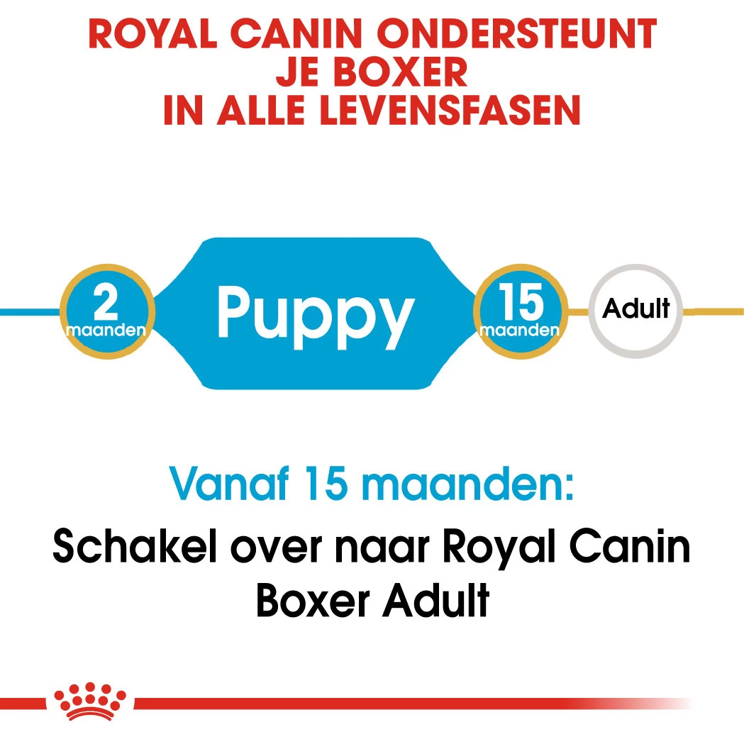 Royal Canin Hondenvoer Boxer Puppy 12 Kg - Image 4