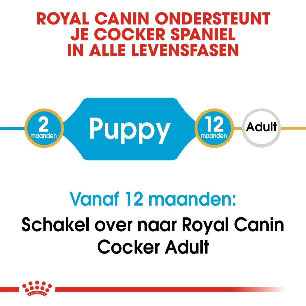 Royal Canin Hondenvoer Cocker Puppy 3 Kg - Image 4