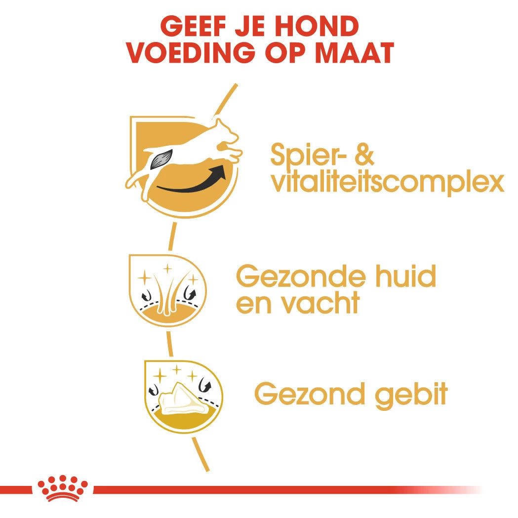 Royal Canin Hondenvoer Jack Russell Adult 3 Kg - Image 3