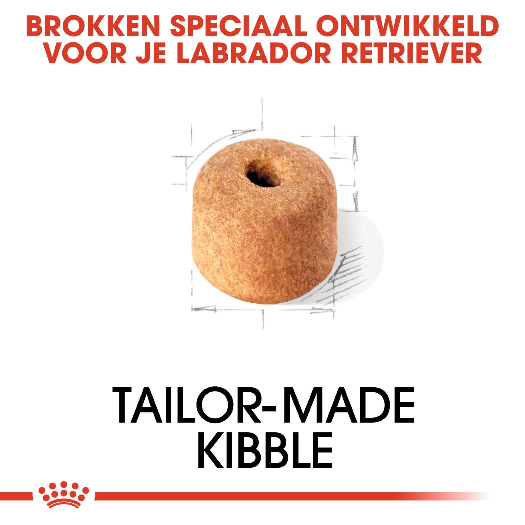 Royal Canin Hondenvoer Labrador Retriever Adult 3 Kg - Image 2