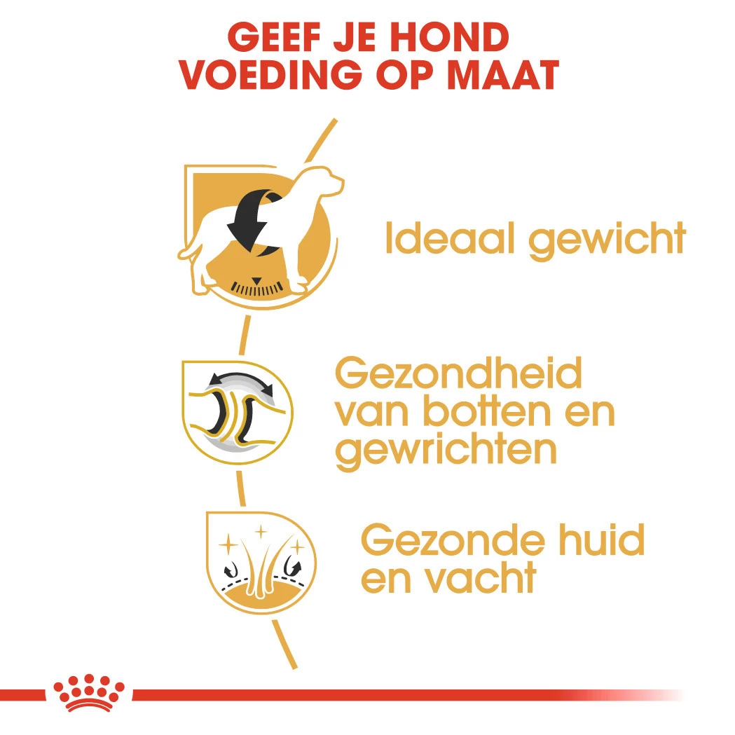 Royal Canin Hondenvoer Labrador Retriever Adult 3 Kg - Image 3