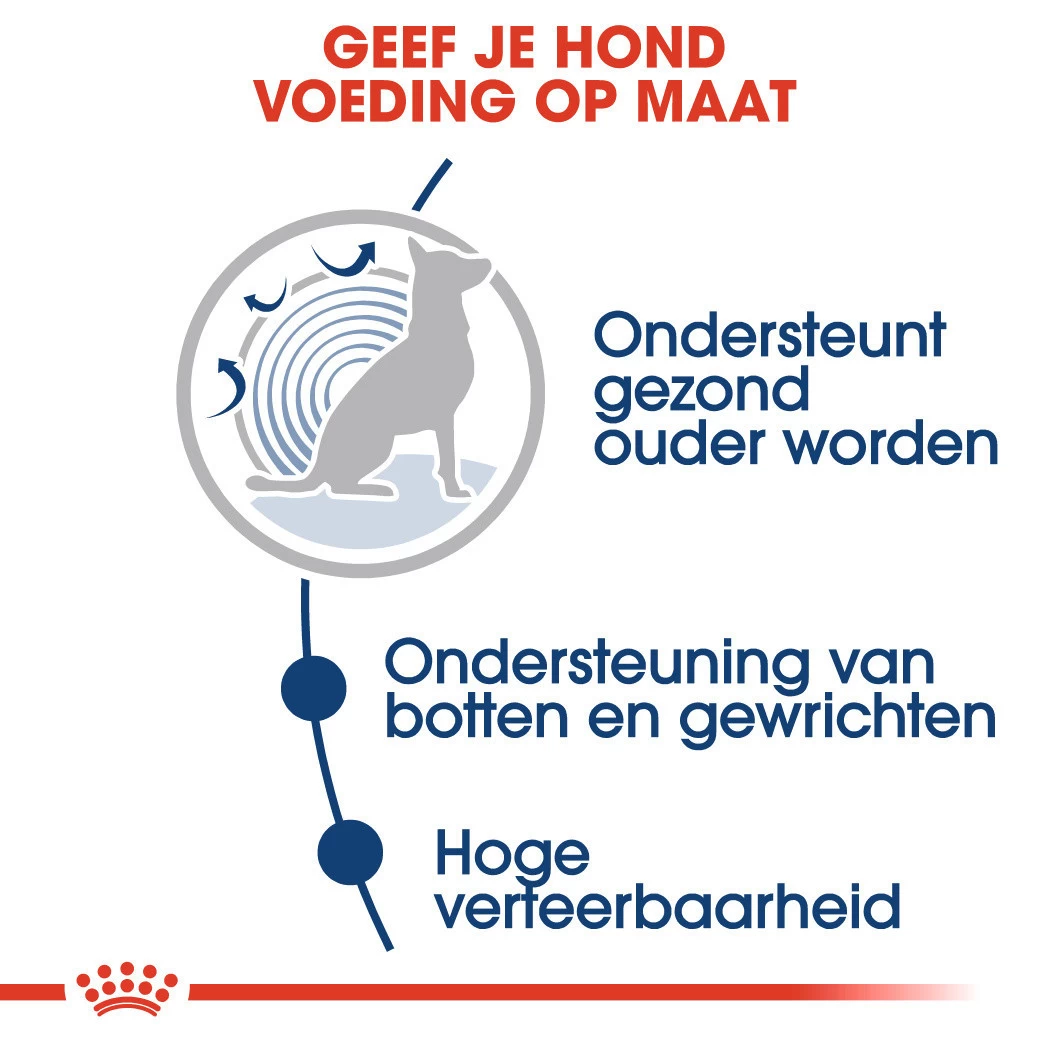 Royal Canin Hondenvoer Maxi Ageing 8+ 10 X 140 Gr - Image 4