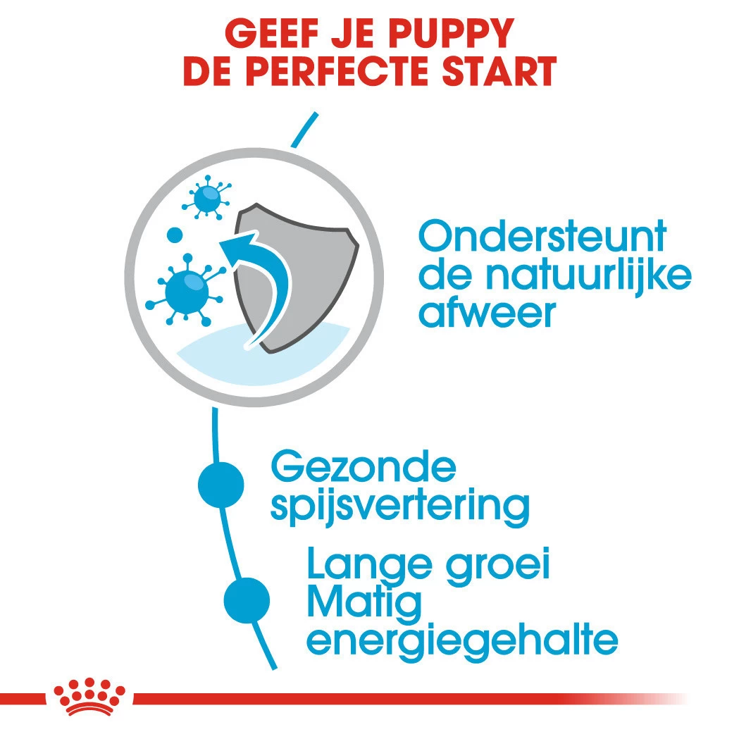 Royal Canin Hondenvoer Maxi Puppy 10 X 140 Gr - Image 4