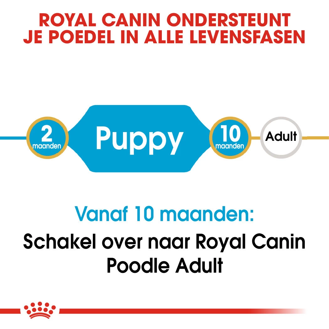 Royal Canin Hondenvoer Poodle Puppy 3 Kg - Image 4