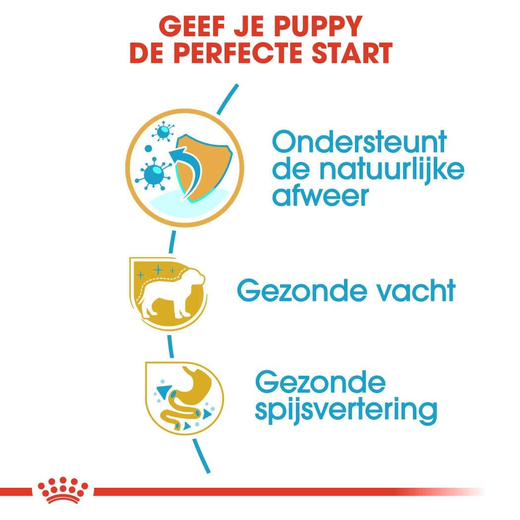 Royal Canin Hondenvoer Poodle Puppy 3 Kg - Image 3