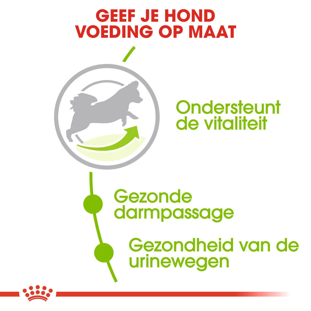 Royal Canin Hondenvoer X-Small Adult 8+ 3 Kg - Image 3