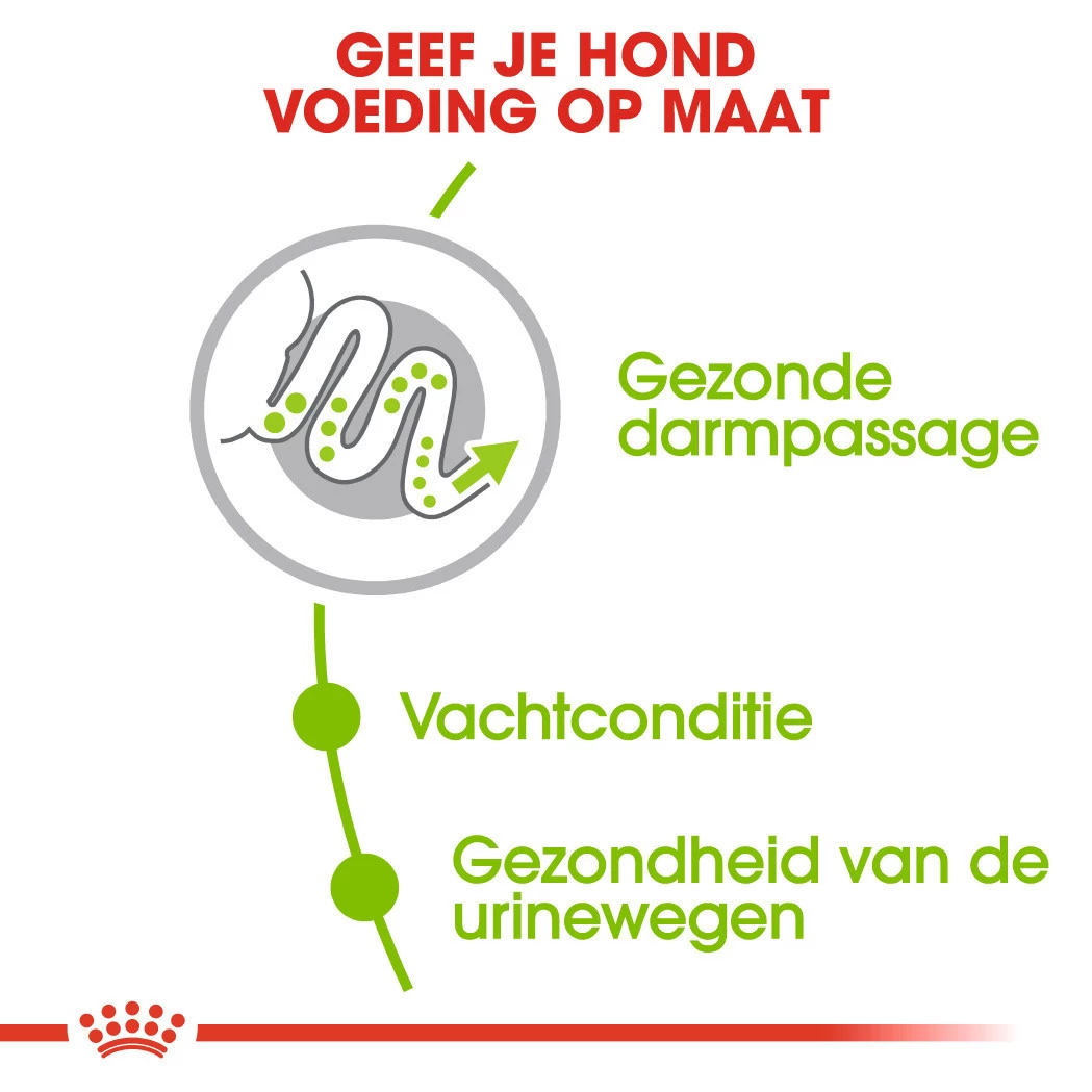 Royal Canin Hondenvoer X-Small Adult 8+ 1,5 Kg - Image 3