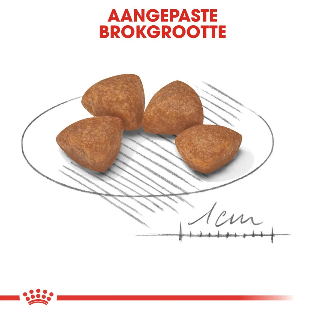 Royal Canin Hondenvoer X-Small Puppy 1,5 Kg - Image 2